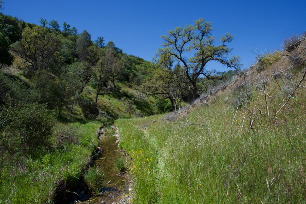 On the Pacheco Creek Trail