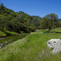 On the Pacheco Creek Trail