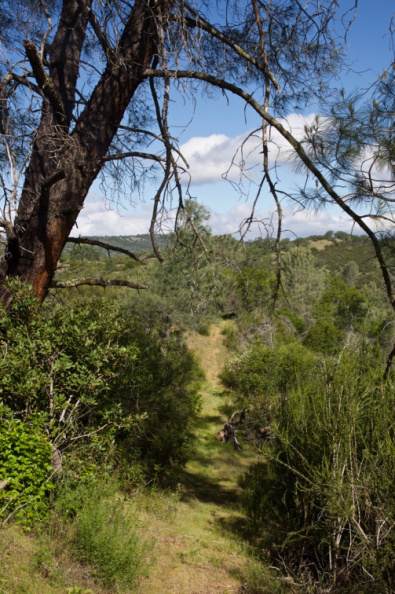 The Walsh Peak Trail