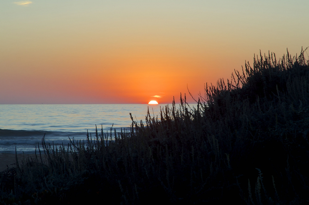 "Pacific Coast Sunset"