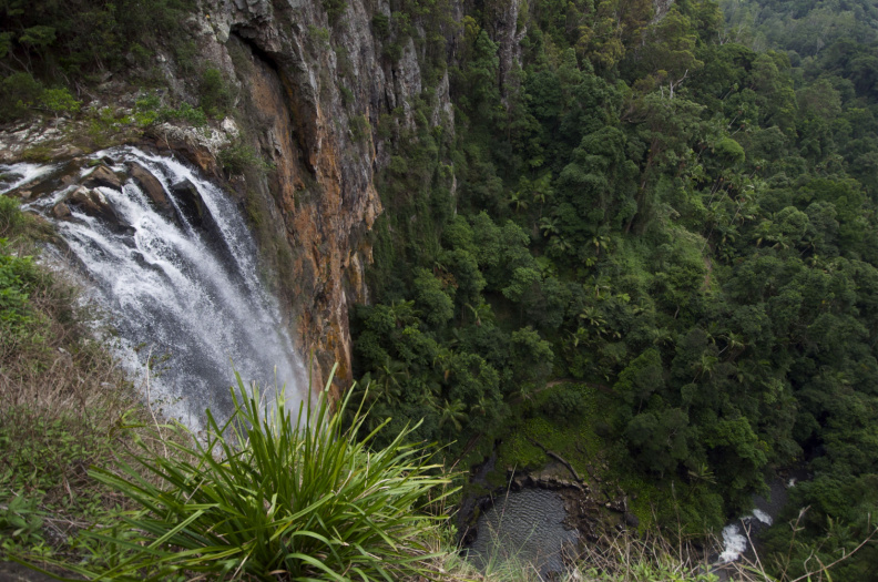 Purlingbrook Falls, Springbrook National Park, Queensland