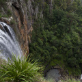 Purlingbrook Falls, Springbrook National Park, Queensland