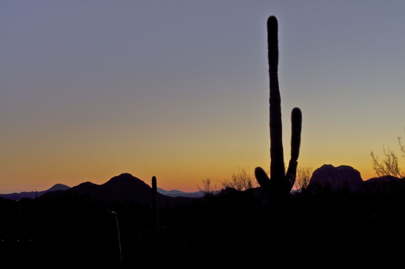 "Arizona Sunset"