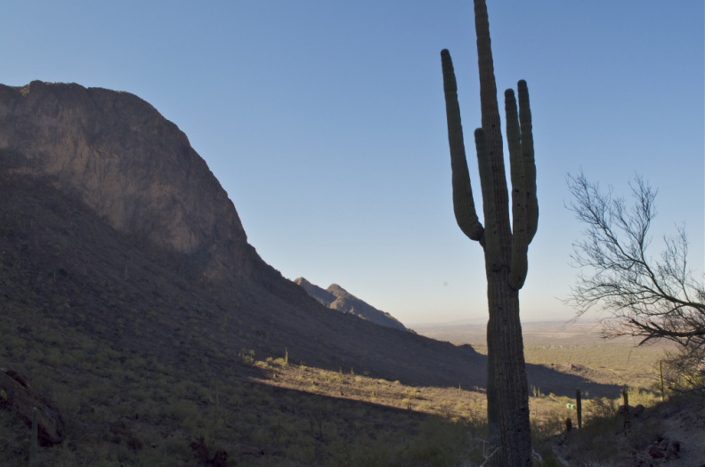 Picacho Peak State Park, between Phoenix and Tucson