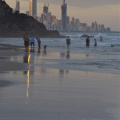 Surfer's Paradise at sunset, from Burleigh Heads