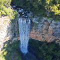 Purling Brook Falls (Springbrook National Park)
