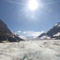 On the Columbia Icefield