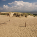 On the Curonian Spit