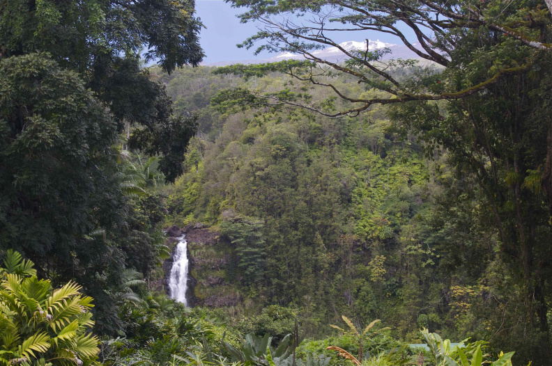 Akaka Falls, with Mauna Kea in the background
