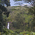 Akaka Falls, with Mauna Kea in the background