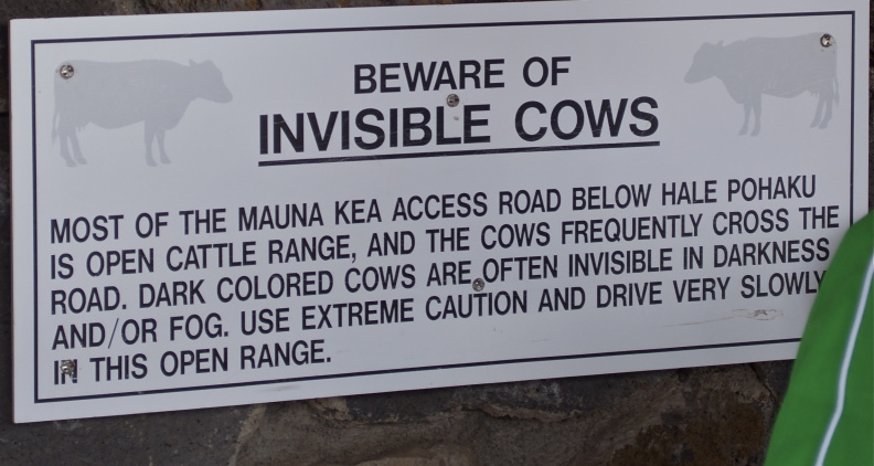 Invisible Cows!