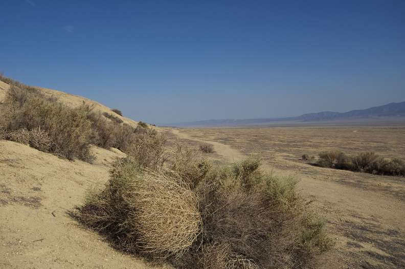 Looking along a section of the San Andreas Fault