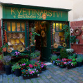 A flower store near Prague Castle