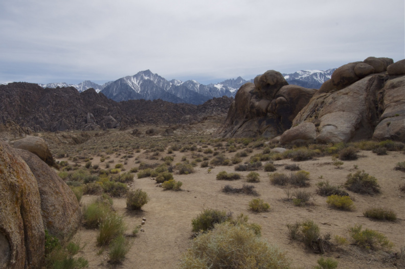Looking from the Alabama Hills towards Mount Whitney