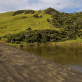 Lake Wainamu Trail, near Bethells Beach, Auckland