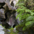 "The Chasm", near Milford Sound