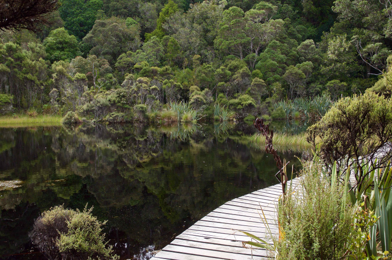 Lake Wilkie, Catlins Forest Park, Otago