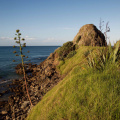 Te Arai Point (the exact antipode of Gibraltar!), north of Auckland