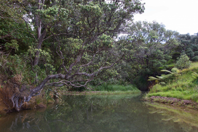 Creek at Tawhitokino Beach
