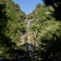 Kitekite Falls (near Piha Beach)