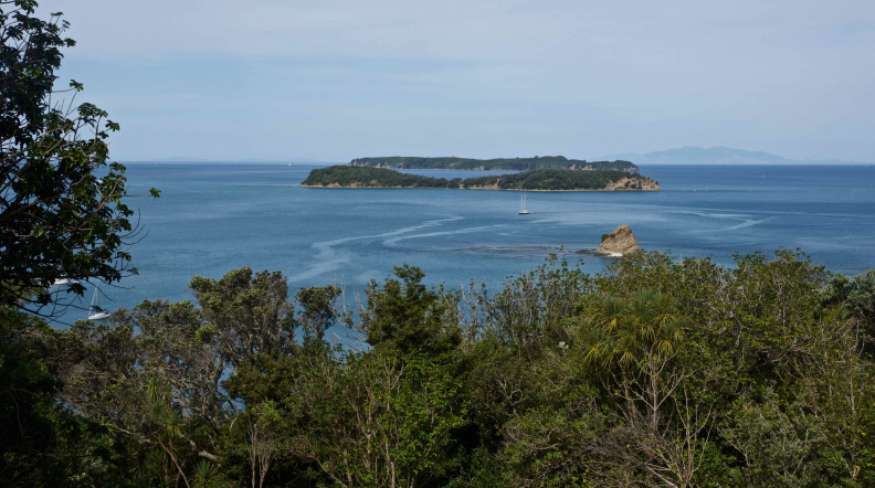 Looking across Pudding, Saddle, and Motuora Islands