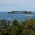 Looking across Pudding, Saddle, and Motuora Islands