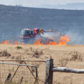 Grass Fire! (near Port Fairy)