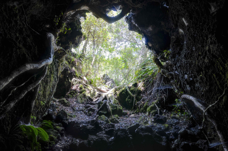 Lava Cave, Rangitoto Island, Auckland