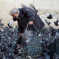 This homeless guy feeds the pigeons outside the Pompidou Centre each evening