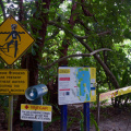 Cape Tribulation - Lots of warning signs!