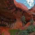 Double Arch Alcove, Kolob Canyons area, Zion National Park (HDR)
