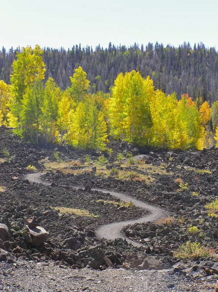 The 'lava section' of the Navajo Lake Loop Trail