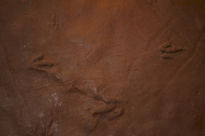 Dinosaur tracks at Johnson Farm, Saint George, Utah