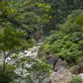 Taroko National Park (Shakadang Trail)