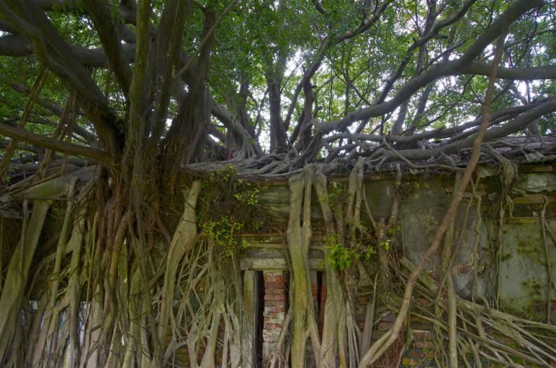 'Anping Tree House', Tainan