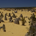 Pinnacles Desert, Nambung National Park
