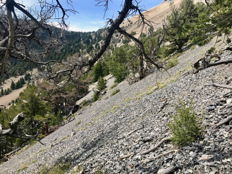Steep scree slope at 44 Degrees North, 113 Degrees West, in Idaho