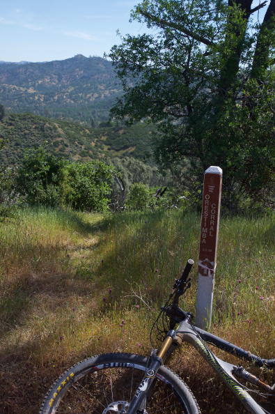About to descend Turkey Pond Trail - perhaps the 'funnest' MTB trail in the greater Bay Area
