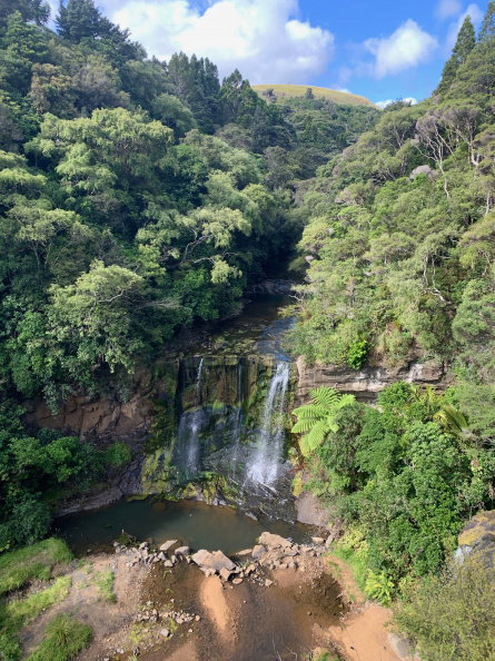 Mokoroa Falls (Goldie's Bush)