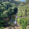 Mokoroa Falls (Goldie's Bush)