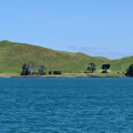 Brown's Island, from the Waiheke Island ferry