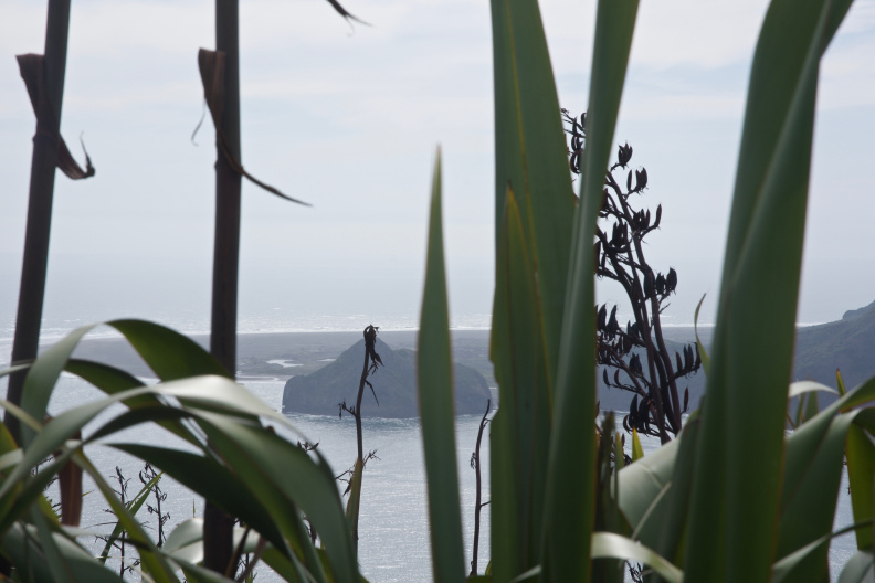 Looking north at Whatipu across the Manukau Heads
