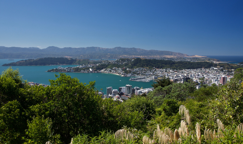 Wellington from the Te Ahumairangi Hill lookout