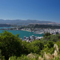 Wellington from the Te Ahumairangi Hill lookout