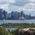 Sydney Harbour from Taronga Park Zoo