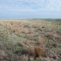 A section of the old Santa Fe Trail, near Cimmaron, Kansas