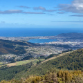 Dunedin from Mount Cargill