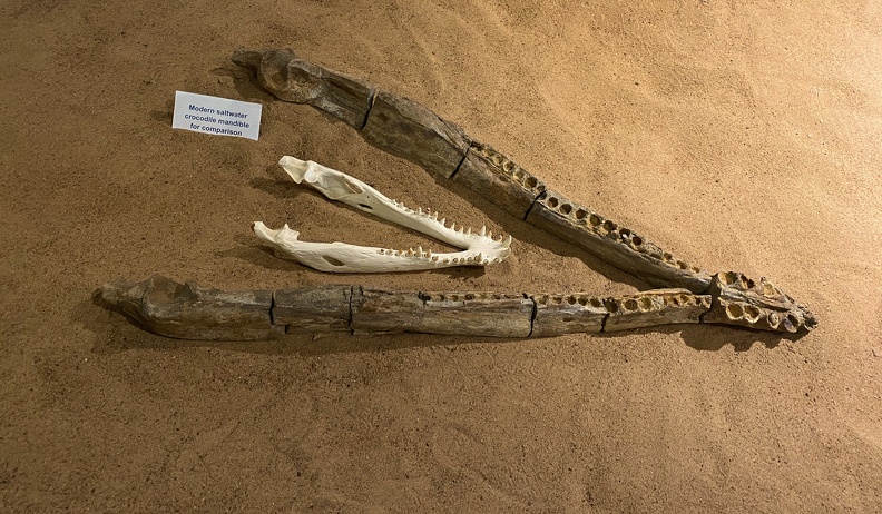 Kronosaurus, 'Kronsaurus Korner', Richmond