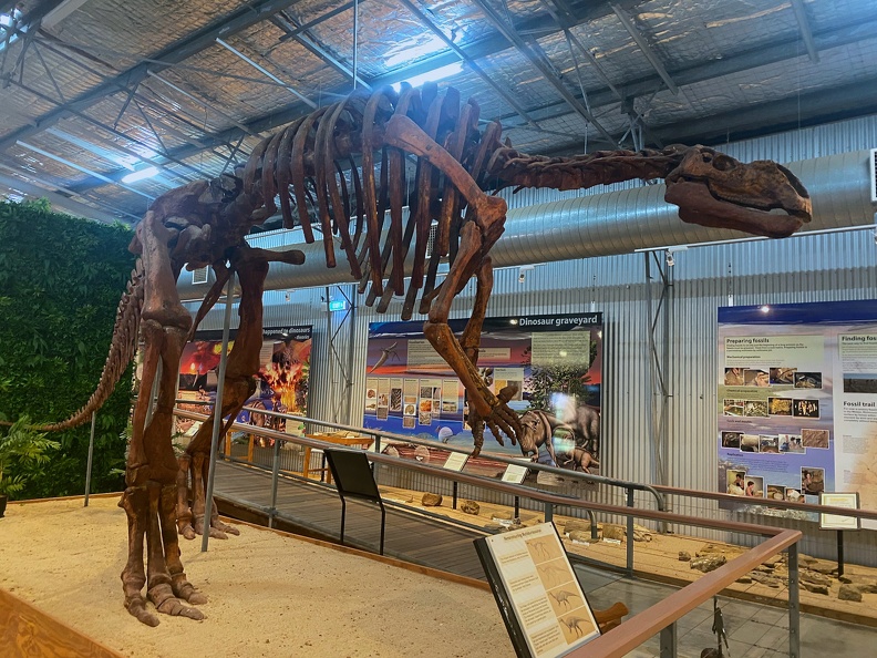 Muttaburrasaurus, Hughenden