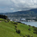 Looking back at Dunedin from the Otago Peninsula